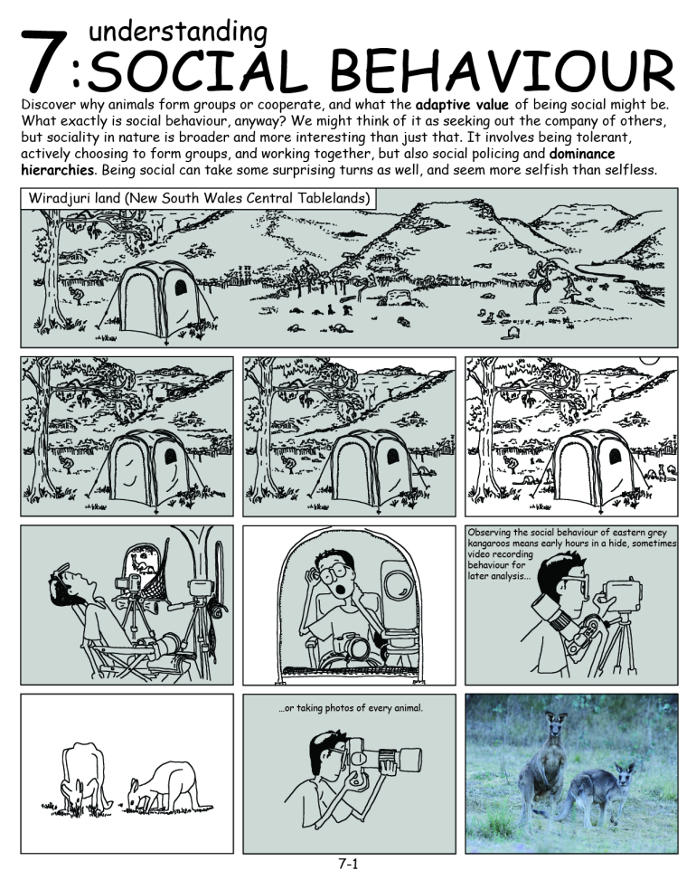front page of chapter 7