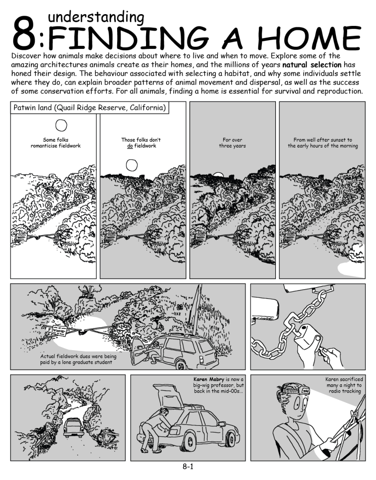front page of chapter 8